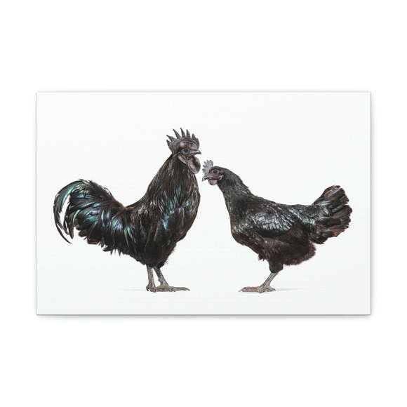 Chicken Couple Chicken Troop Print Animal Wall Art Wildlife Canvas Prints Wall A